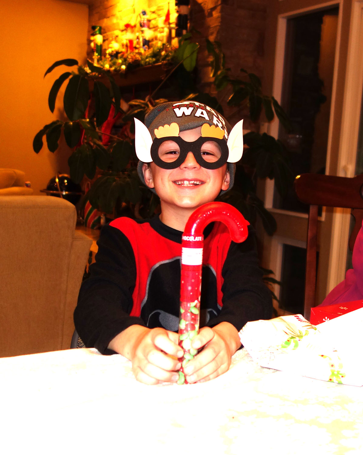 Christmas 2015 Shelley (8)